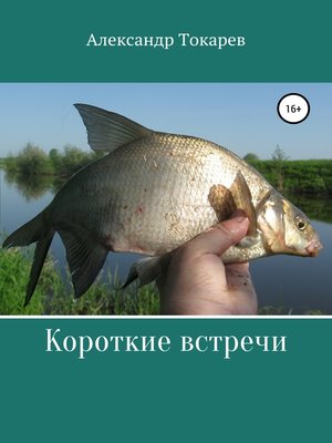cover image of Короткие встречи